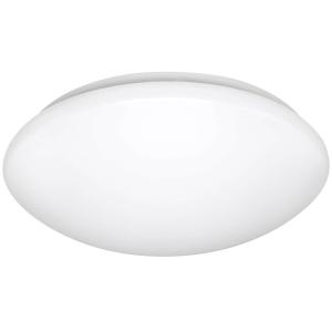 LED Ceiling light